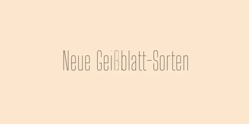 Neue Geißblatt-Sorten
