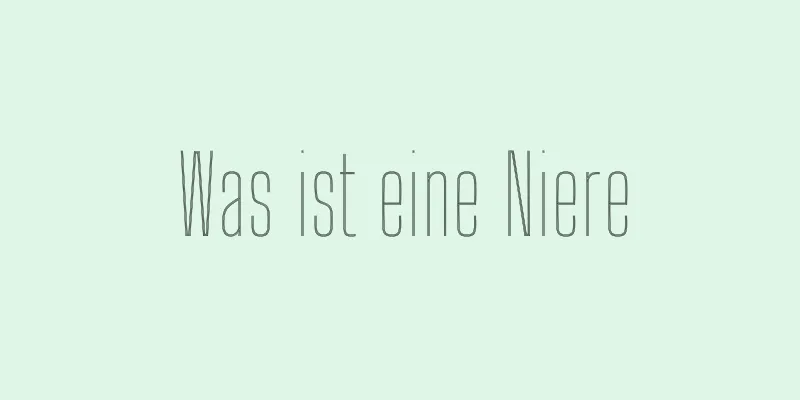 Was ist eine Niere