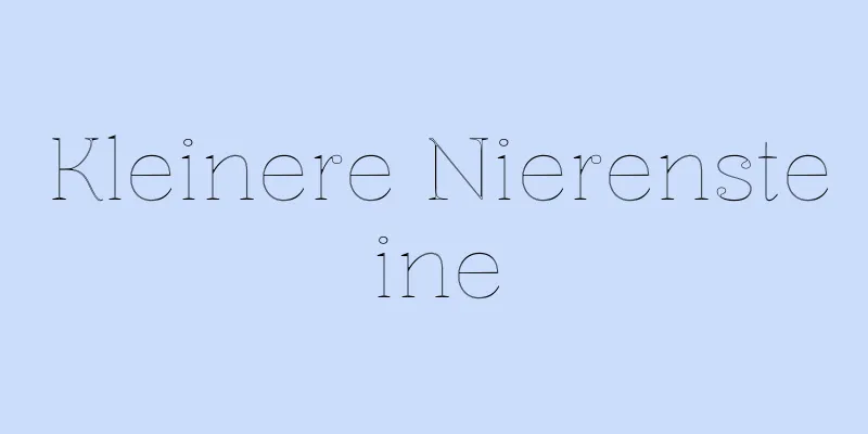 Kleinere Nierensteine