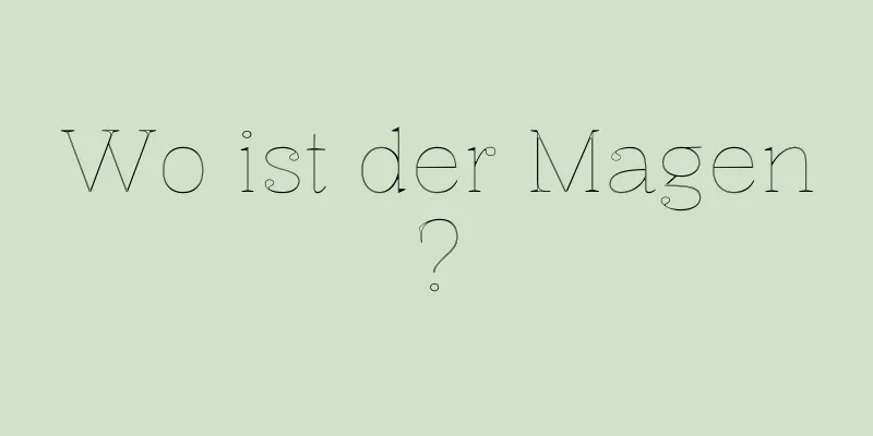 Wo ist der Magen?