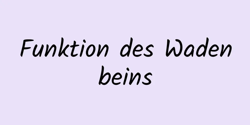 Funktion des Wadenbeins