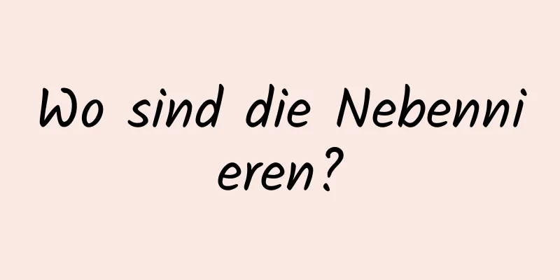 Wo sind die Nebennieren?