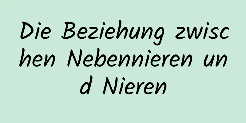 Die Beziehung zwischen Nebennieren und Nieren