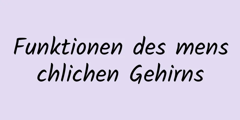 Funktionen des menschlichen Gehirns