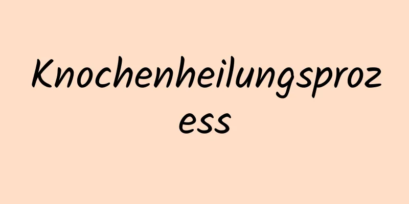 Knochenheilungsprozess