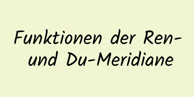 Funktionen der Ren- und Du-Meridiane