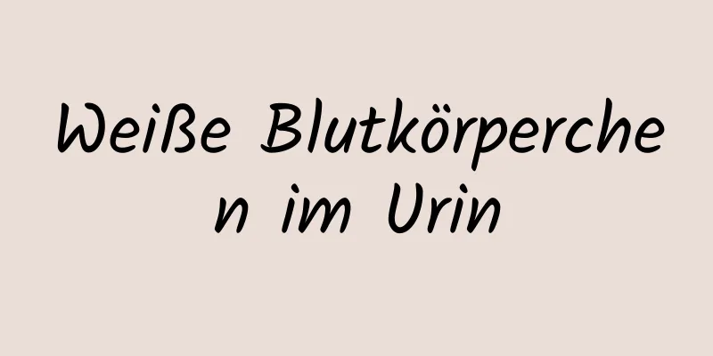 Weiße Blutkörperchen im Urin