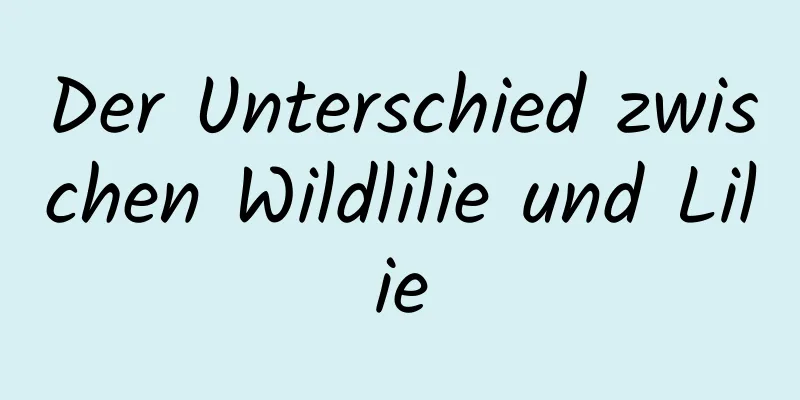 Der Unterschied zwischen Wildlilie und Lilie