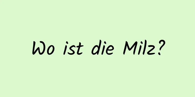 Wo ist die Milz?