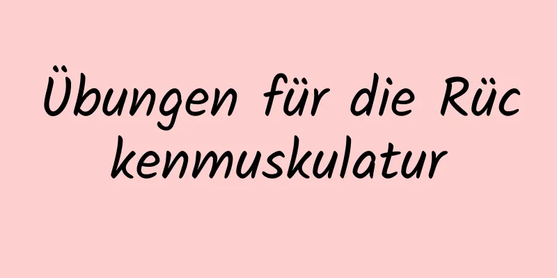 Übungen für die Rückenmuskulatur