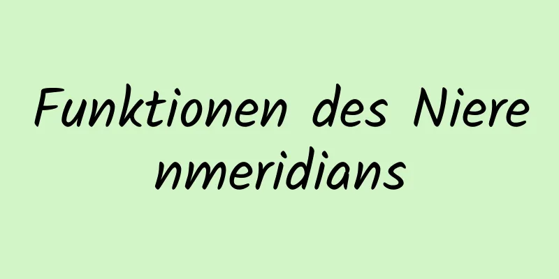 Funktionen des Nierenmeridians