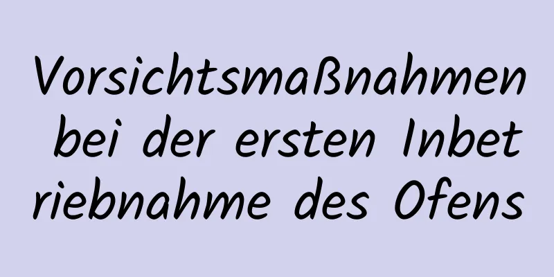 Vorsichtsmaßnahmen bei der ersten Inbetriebnahme des Ofens