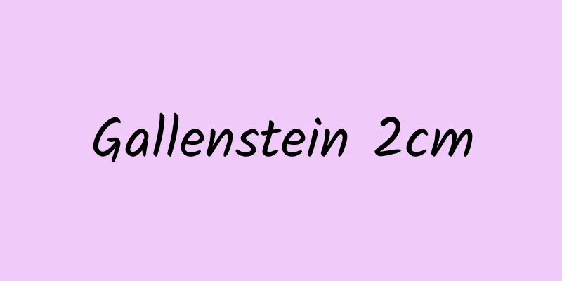 Gallenstein 2cm