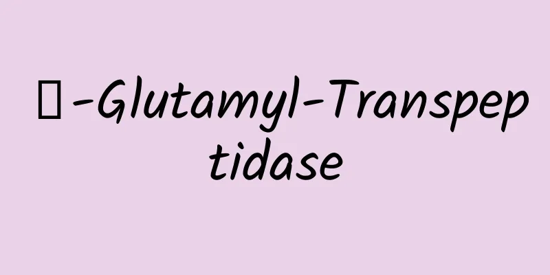 γ-Glutamyl-Transpeptidase