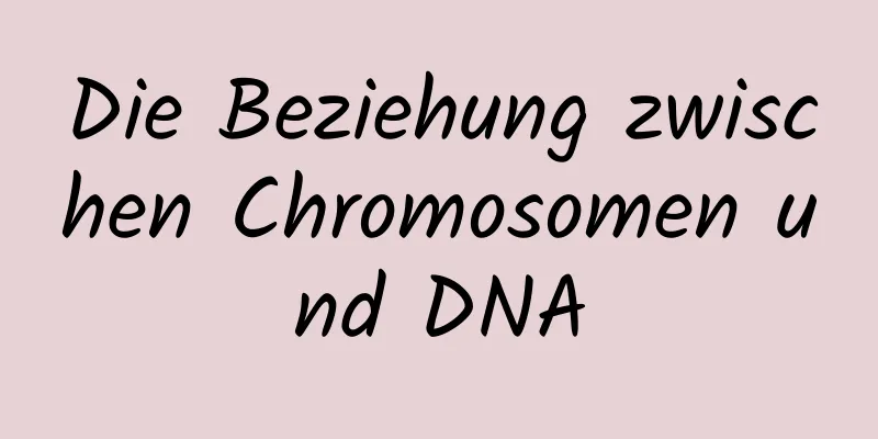 Die Beziehung zwischen Chromosomen und DNA