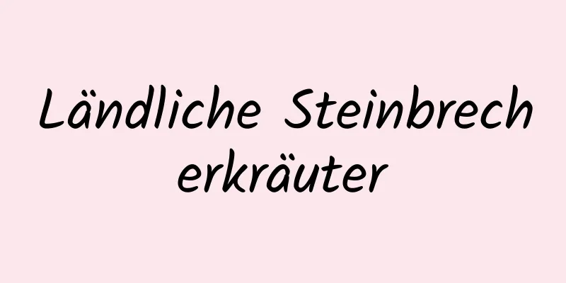 Ländliche Steinbrecherkräuter