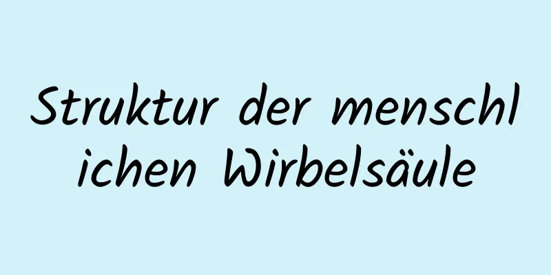 Struktur der menschlichen Wirbelsäule