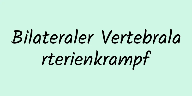 Bilateraler Vertebralarterienkrampf