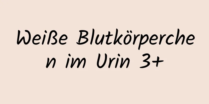 Weiße Blutkörperchen im Urin 3+