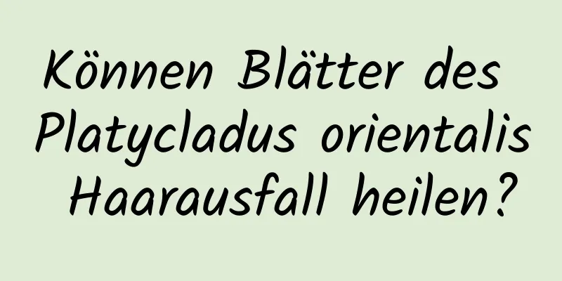 Können Blätter des Platycladus orientalis Haarausfall heilen?