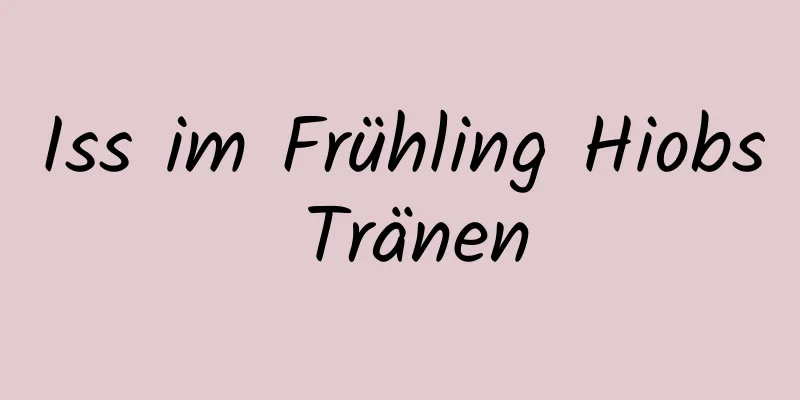 Iss im Frühling Hiobs Tränen
