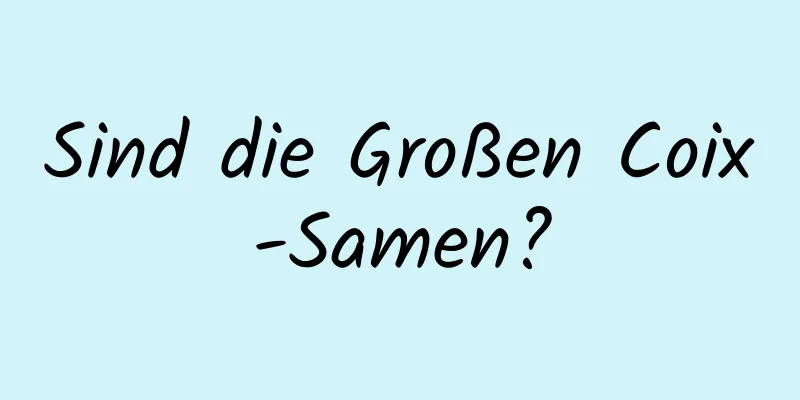 Sind die Großen Coix-Samen?