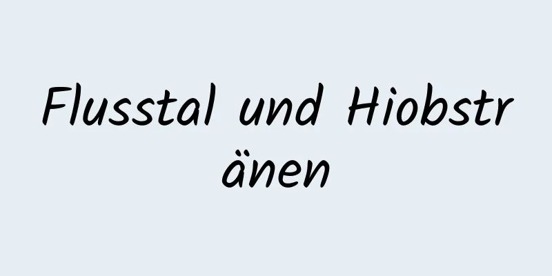 Flusstal und Hiobstränen