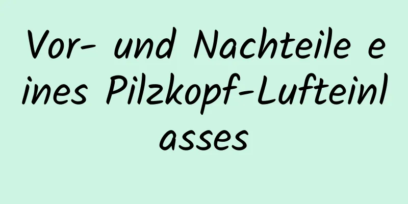 Vor- und Nachteile eines Pilzkopf-Lufteinlasses