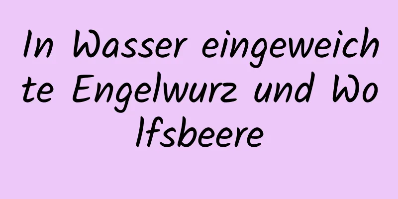 In Wasser eingeweichte Engelwurz und Wolfsbeere
