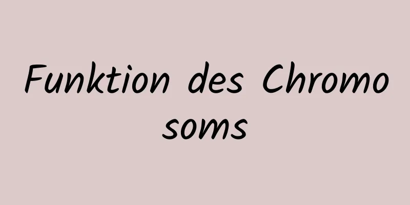 Funktion des Chromosoms