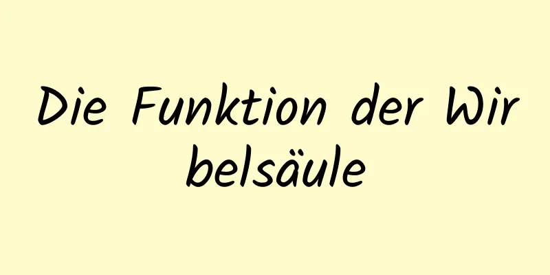 Die Funktion der Wirbelsäule