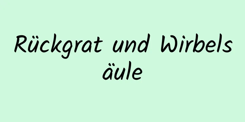 Rückgrat und Wirbelsäule