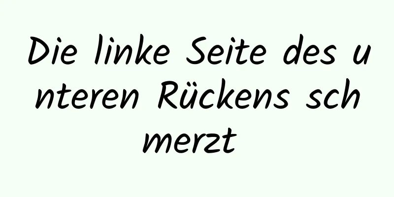 Die linke Seite des unteren Rückens schmerzt 
