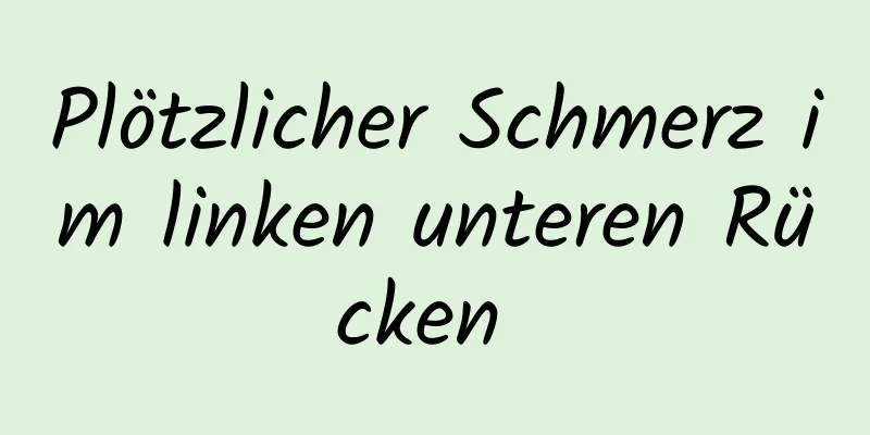 Plötzlicher Schmerz im linken unteren Rücken 