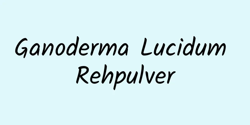 Ganoderma Lucidum Rehpulver