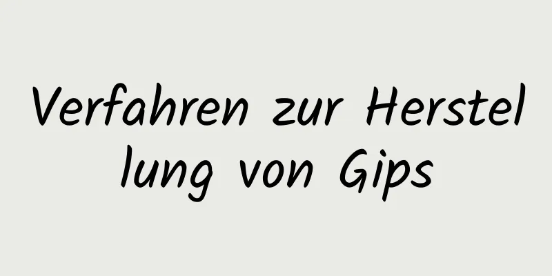 Verfahren zur Herstellung von Gips