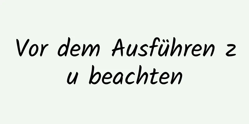 Vor dem Ausführen zu beachten