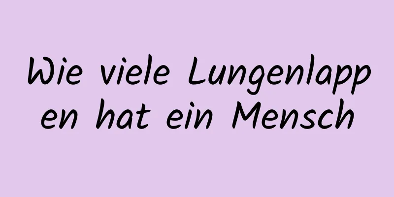Wie viele Lungenlappen hat ein Mensch
