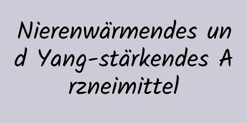 Nierenwärmendes und Yang-stärkendes Arzneimittel