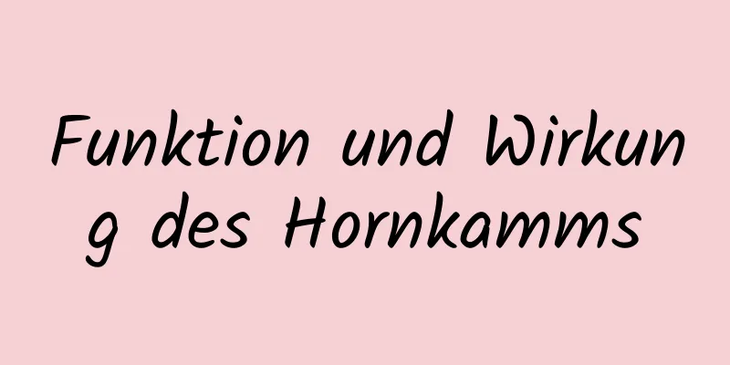 Funktion und Wirkung des Hornkamms