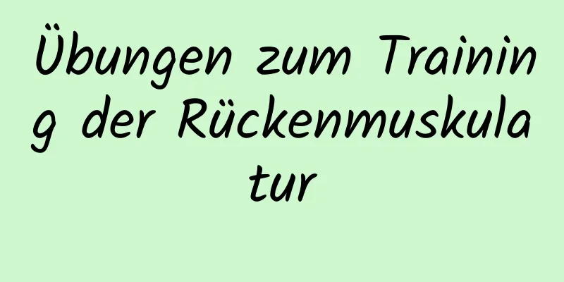 Übungen zum Training der Rückenmuskulatur