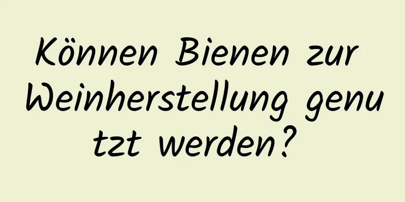 Können Bienen zur Weinherstellung genutzt werden? 