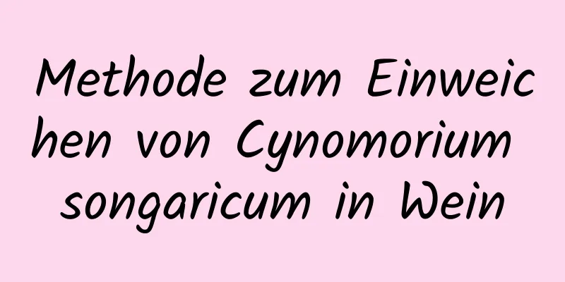 Methode zum Einweichen von Cynomorium songaricum in Wein