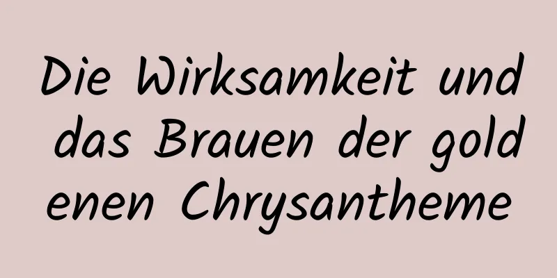 Die Wirksamkeit und das Brauen der goldenen Chrysantheme