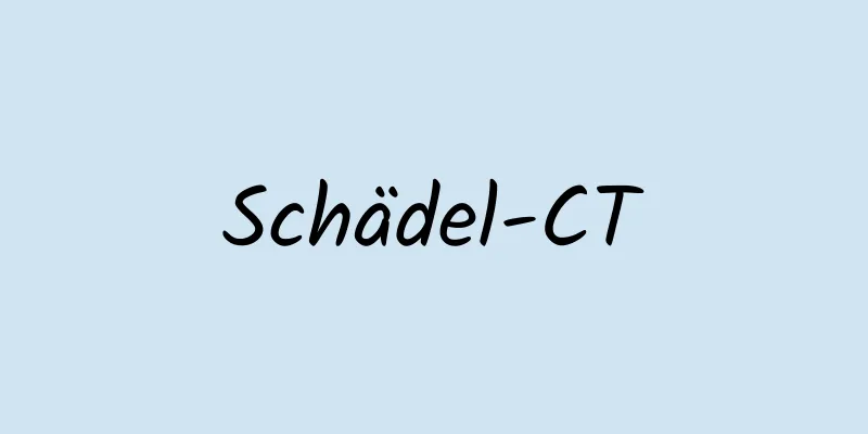 Schädel-CT