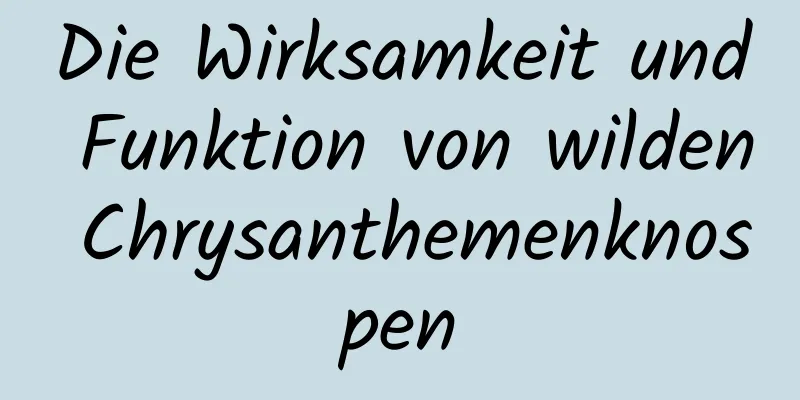 Die Wirksamkeit und Funktion von wilden Chrysanthemenknospen