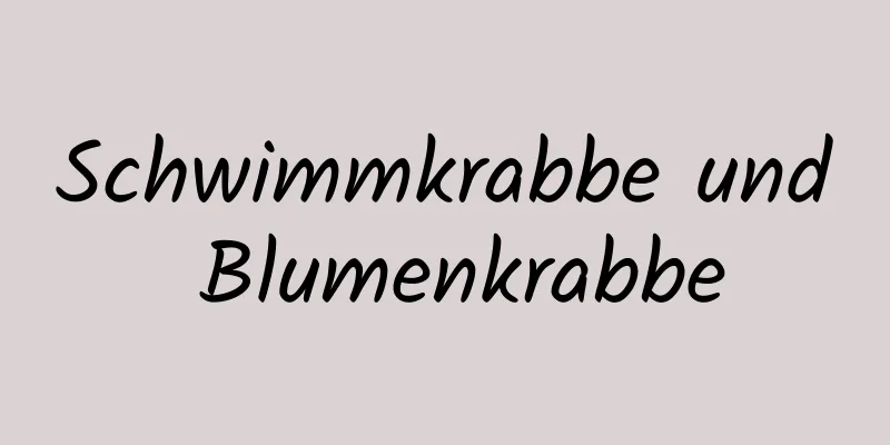 Schwimmkrabbe und Blumenkrabbe