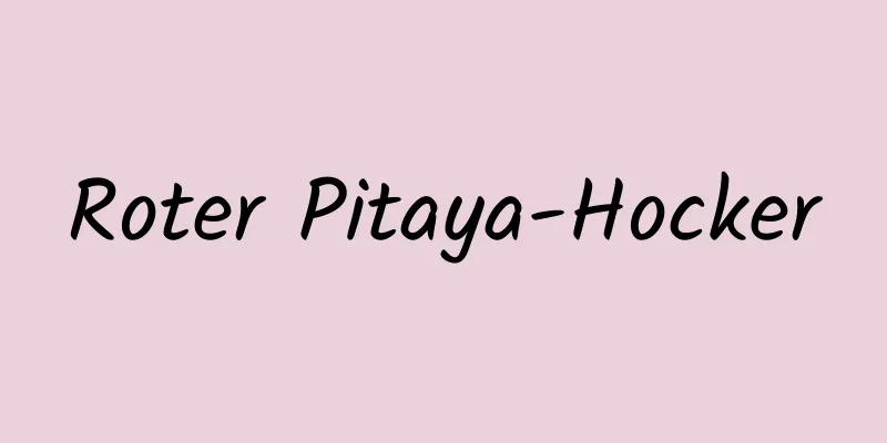 Roter Pitaya-Hocker