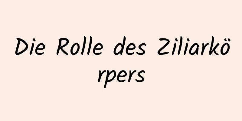 Die Rolle des Ziliarkörpers
