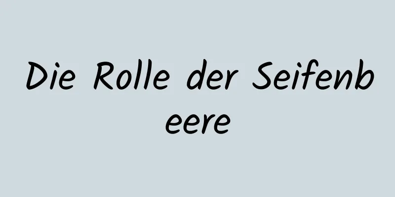 Die Rolle der Seifenbeere